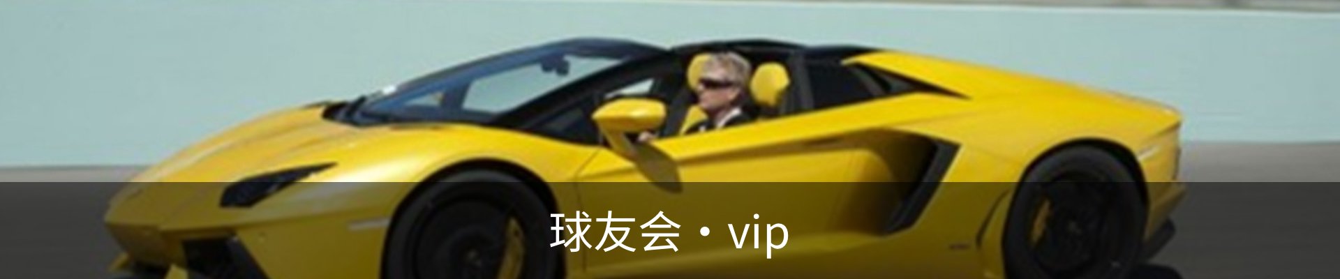 球友会·vip